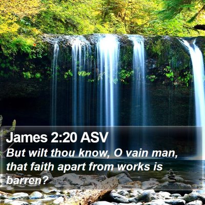 James 2:20 ASV Bible Verse Image