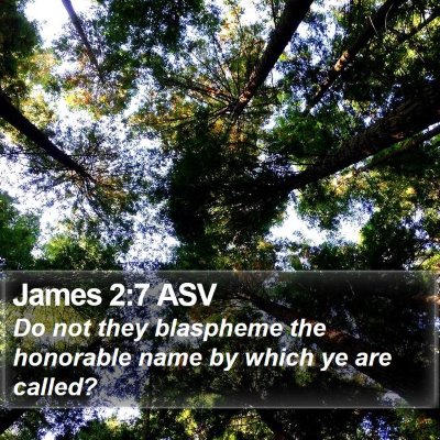 James 2:7 ASV Bible Verse Image