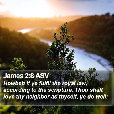 James 2:8 ASV Bible Verse Image