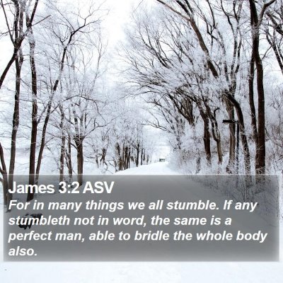 James 3:2 ASV Bible Verse Image