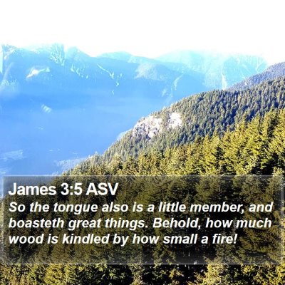 James 3:5 ASV Bible Verse Image
