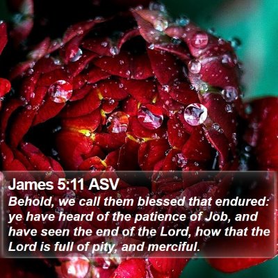 James 5:11 ASV Bible Verse Image