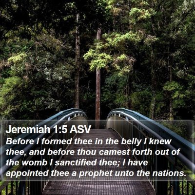 Jeremiah 1:5 ASV Bible Verse Image