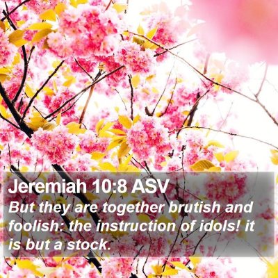 Jeremiah 10:8 ASV Bible Verse Image