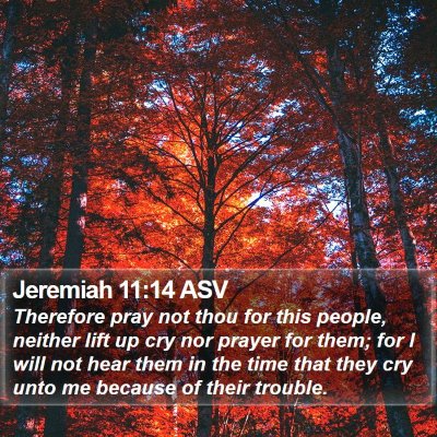 Jeremiah 11:14 ASV Bible Verse Image