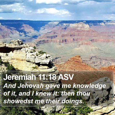 Jeremiah 11:18 ASV Bible Verse Image