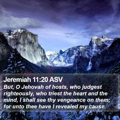Jeremiah 11:20 ASV Bible Verse Image