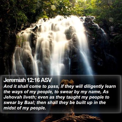 Jeremiah 12:16 ASV Bible Verse Image
