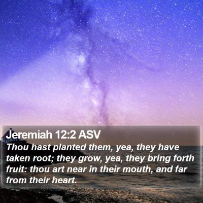 Jeremiah 12:2 ASV Bible Verse Image