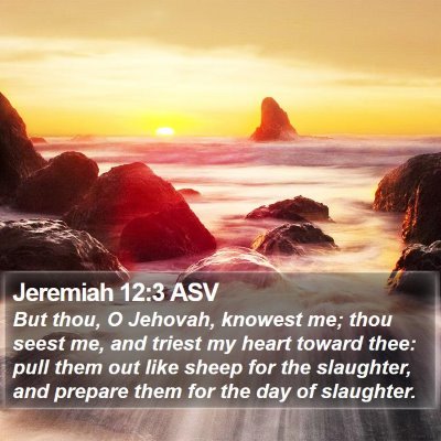 Jeremiah 12:3 ASV Bible Verse Image