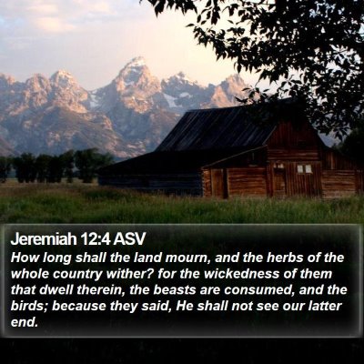 Jeremiah 12:4 ASV Bible Verse Image
