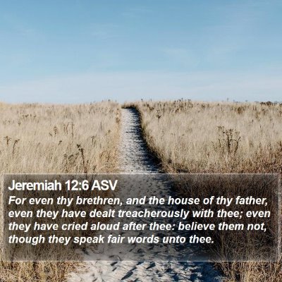 Jeremiah 12:6 ASV Bible Verse Image