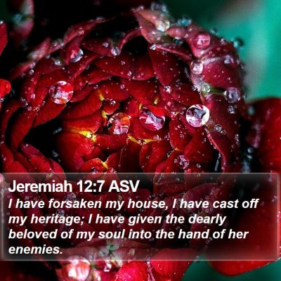 Jeremiah 12:7 ASV Bible Verse Image