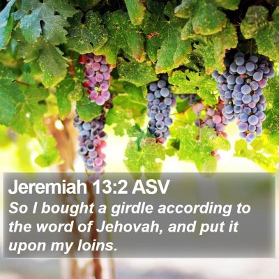 Jeremiah 13:2 ASV Bible Verse Image