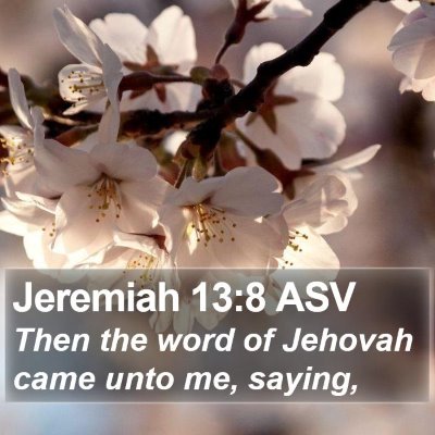 Jeremiah 13:8 ASV Bible Verse Image