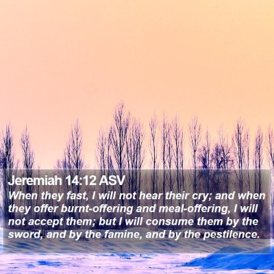Jeremiah 14:12 ASV Bible Verse Image