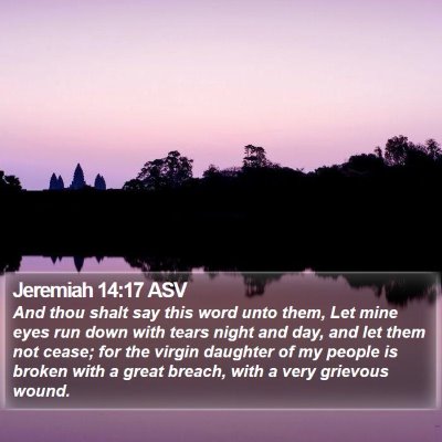 Jeremiah 14:17 ASV Bible Verse Image