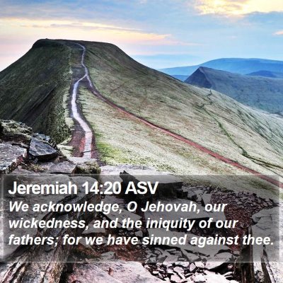 Jeremiah 14:20 ASV Bible Verse Image