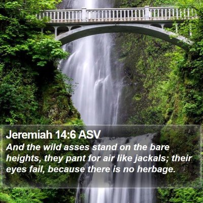 Jeremiah 14:6 ASV Bible Verse Image