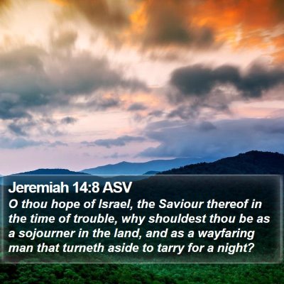 Jeremiah 14:8 ASV Bible Verse Image