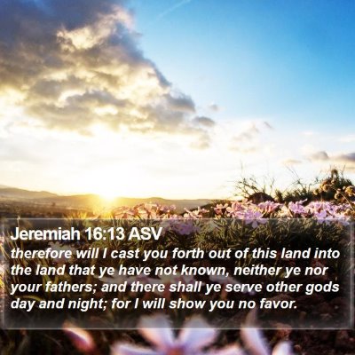 Jeremiah 16:13 ASV Bible Verse Image