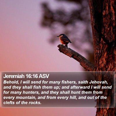 Jeremiah 16:16 ASV Bible Verse Image