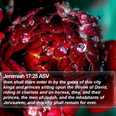 Jeremiah 17:25 ASV Bible Verse Image