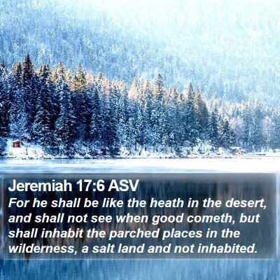 Jeremiah 17:6 ASV Bible Verse Image