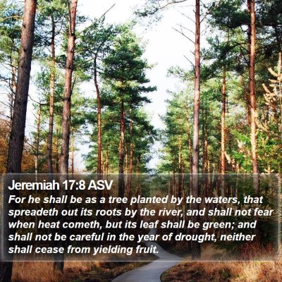 Jeremiah 17:8 ASV Bible Verse Image