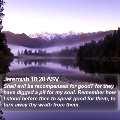 Jeremiah 18:20 ASV Bible Verse Image