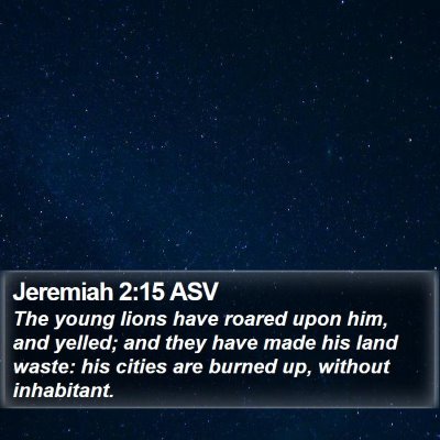 Jeremiah 2:15 ASV Bible Verse Image