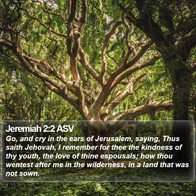 Jeremiah 2:2 ASV Bible Verse Image
