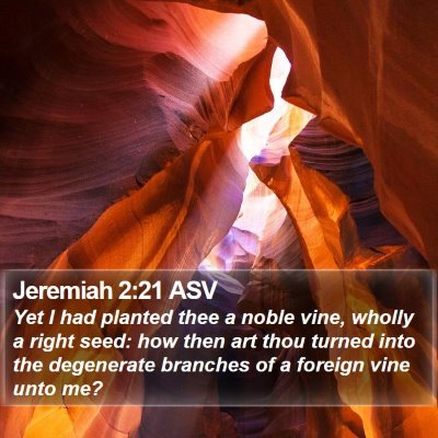 Jeremiah 2:21 ASV Bible Verse Image