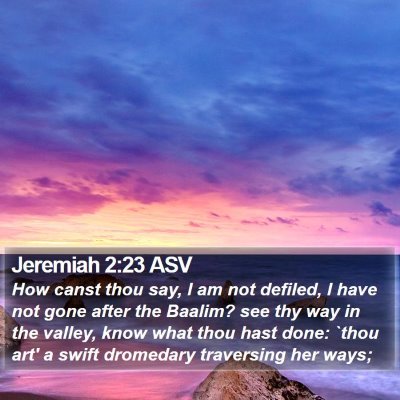 Jeremiah 2:23 ASV Bible Verse Image