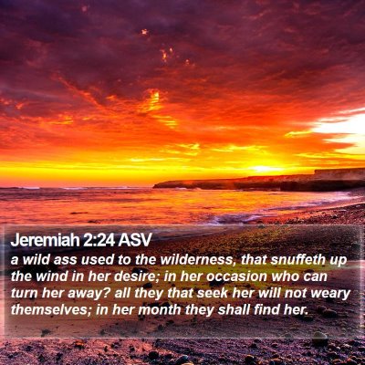 Jeremiah 2:24 ASV Bible Verse Image