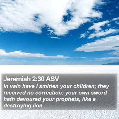 Jeremiah 2:30 ASV Bible Verse Image