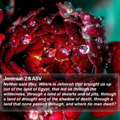 Jeremiah 2:6 ASV Bible Verse Image