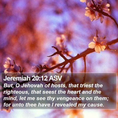Jeremiah 20:12 ASV Bible Verse Image
