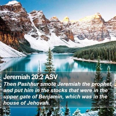 Jeremiah 20:2 ASV Bible Verse Image