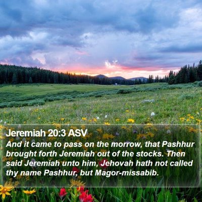 Jeremiah 20:3 ASV Bible Verse Image