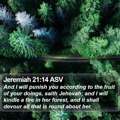 Jeremiah 21:14 ASV Bible Verse Image