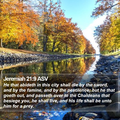 Jeremiah 21:9 ASV Bible Verse Image