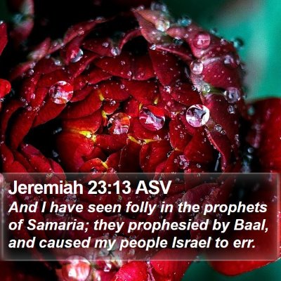 Jeremiah 23:13 ASV Bible Verse Image