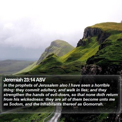 Jeremiah 23:14 ASV Bible Verse Image