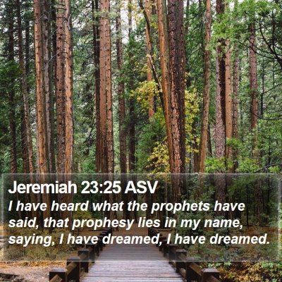 Jeremiah 23:25 ASV Bible Verse Image