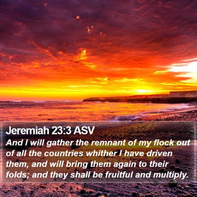 Jeremiah 23:3 ASV Bible Verse Image