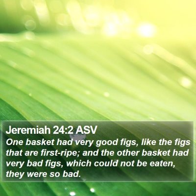 Jeremiah 24:2 ASV Bible Verse Image