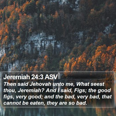 Jeremiah 24:3 ASV Bible Verse Image