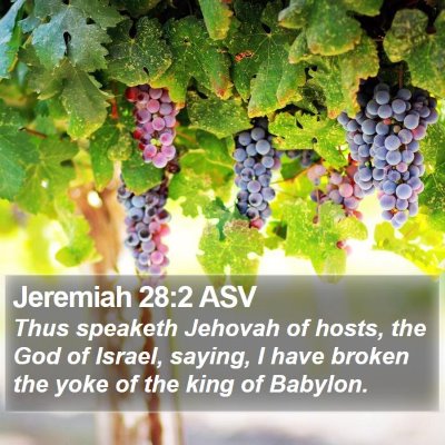 Jeremiah 28:2 ASV Bible Verse Image