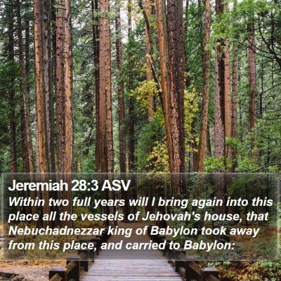 Jeremiah 28:3 ASV Bible Verse Image